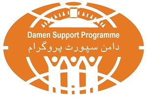 DSP Logo